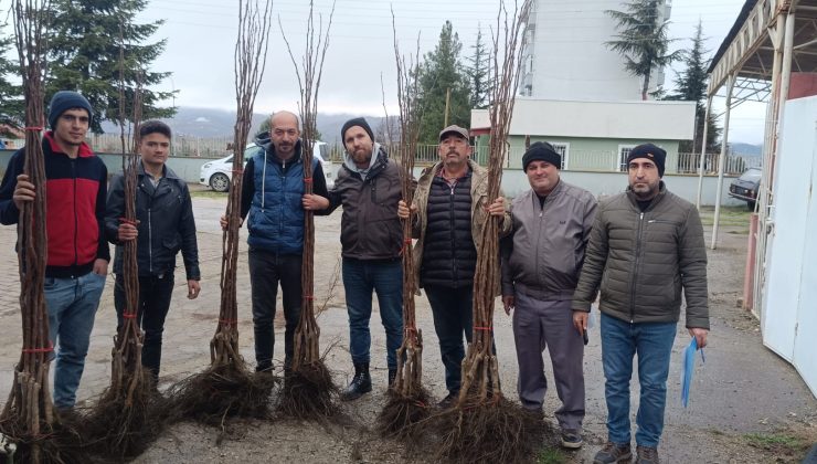 Pazaryeri’nde Meyveciliğe Güçlü Destek: 450 Meyve Fidanı Çiftçilerle Buluştu