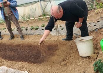 Pazaryeri’nde Yeni Dönem: Tütün İlçenin Geçim Kapısı Oluyor