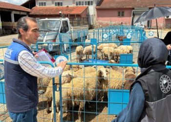 Kurban Bayramı Öncesi Pazaryeri’nde Sıkı Denetim